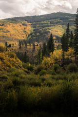 Landscape view of the mountains in Vail, Colorado covered in fall foliage. 