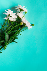 Bouquet of white camomiles on a blue background. St. Valentine's Day