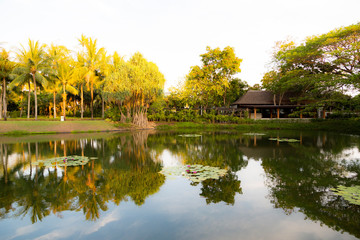 Fototapeta premium reflection of tropical trees on the water