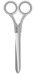 Scissors. Vector image with a transparent background.