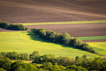Green and yellow fields from above aerial view, Ceske Stredohori, Czechia