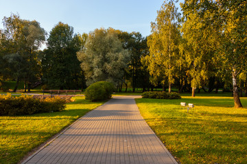 Alley in a city park in the afternoon, early autumn.