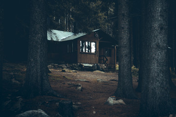 Einsame Hütte mit im dunklen Wald