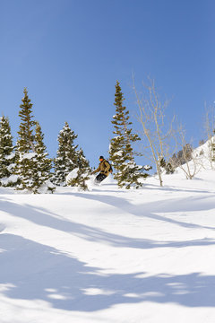 Snowboarder on a splitboard shredding the backcountry outside of Alta, Utah on a sunny winter day.   