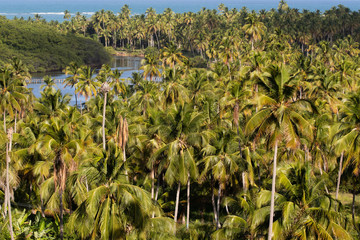 Fototapeta premium Pedras Port / Alagoas / Brazil. January, 21,2 018. Views of Patacho Beach in northeastern Brazil.