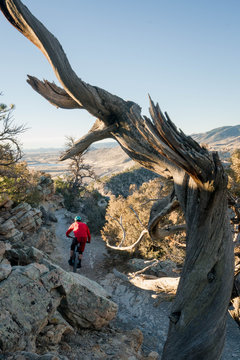 One man mountain biking on a technical, rocky section of trail on Dakota Ridge between Golden and Morrison, Colorado.     