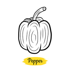 Hand drawn Pepper isolated on a white. Paprika. Vegetables drawings. Vector illustration.