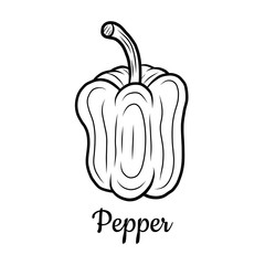 Hand drawn Pepper isolated on a white. Paprika. Vegetables drawings. Vector illustration.