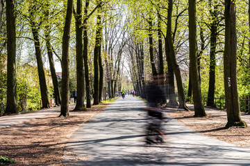 The Munster Green Pedestrian Promenade, a Tree Lined Cycle and Walking Path around the City Center 
