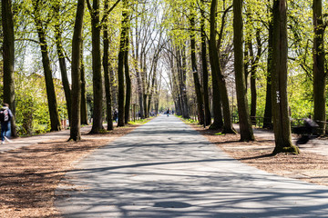 The Munster Green Pedestrian Promenade, a Tree Lined Cycle and Walking Path around the City Center 