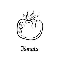 Hand drawn Tomato isolated on a white. Vegetables drawings. Vector illustration.