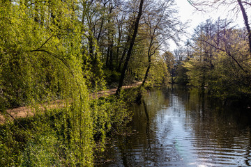 Fototapeta na wymiar River walk around the Botanical gardens of Munster Palace