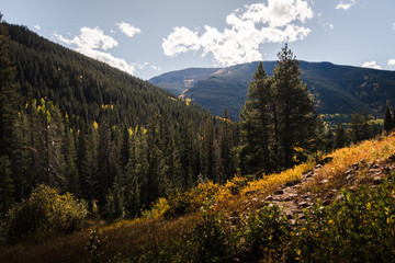 A trail in Vail, Colorado during autumn. 