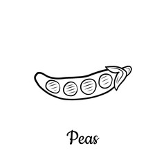Hand drawn Peas isolated on a white. Vegetables drawings. Vector illustration.