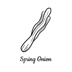 Hand drawn Spring Onion isolated on a white. Vegetables drawings. Vector illustration.