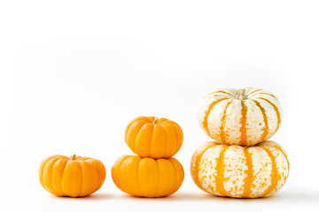 Traditional Thanksgiving mini pumpkins stacked into pyramids. Bright orange and tiger pumpkins.