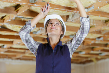 portrait of a woman working on ceiling