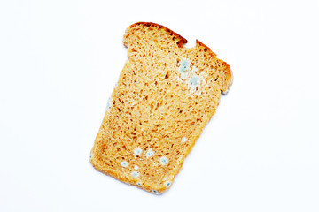 Slices of moldy bread isolated on white background. Moldy bread.