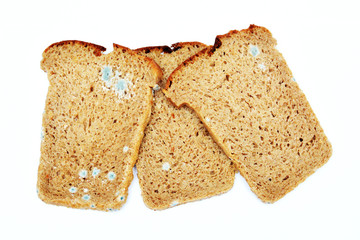 Slices of moldy bread isolated on white background. Moldy bread.