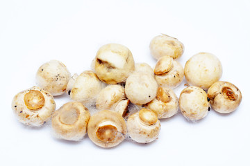 Spoiled mushrooms champignon isolated on a white background. Rotten mushroom. Improper storage of food. Moldy old champignons.