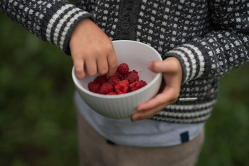 boy's hands holding bowl of freshly picked raspberries