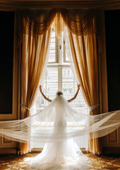 Bride with a long veil looking in the window