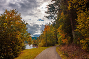 The walking path in the national park, Schwarzwald / Black Forest with some colored trees and nice clouds in the blue sky at autumn. Nagoldtalsperre, Germany.