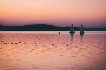 Sailing boats at sunset on background. many wild ducks swimming in water. silhouette of fishermen in a boat on a lake.