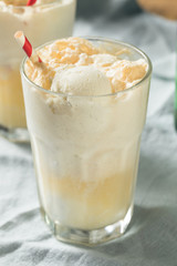 Homemade Ginger Beer Boston Cooler
