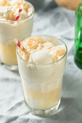 Homemade Ginger Beer Boston Cooler