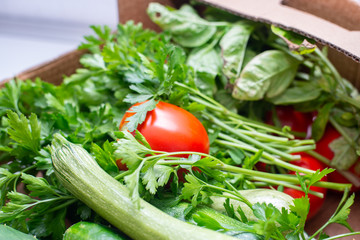 fresh seasonal vegetables, homemade garden vegetables