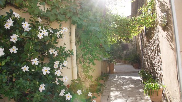 Old flowery streets in Gassin french village vegetation on facade sun flare green France