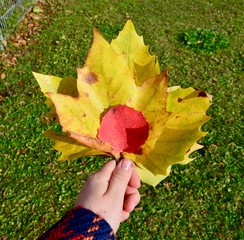 Autumn leaves in the hand