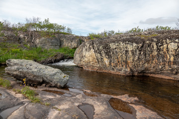 MURMANSK, Algae thrown surf, shore of the Arctic Ocean, Sredniy peninsula