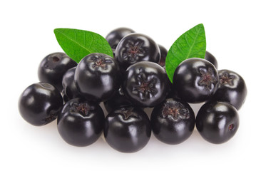 Fresh chokeberry on white background