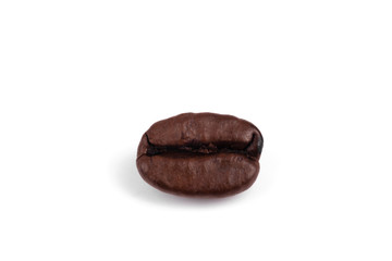 one grain of dark brown color with a pleasant aroma is depicted close on a white background