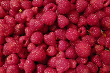 background of heap organic red raspberries