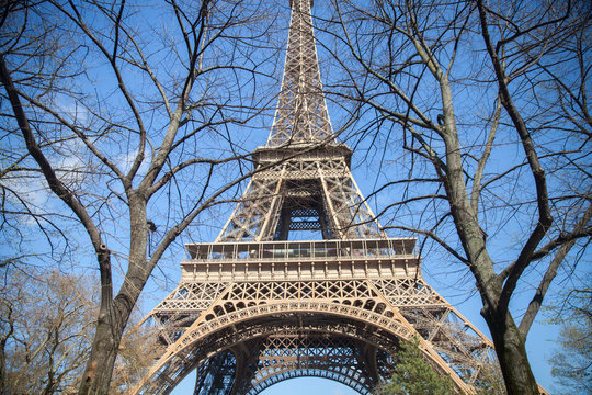 Eiffel tower behind tree branches in spring, Paris
