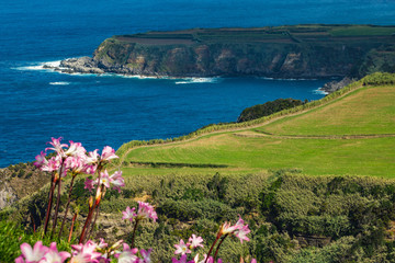 Fototapeta na wymiar breathtaking view of coastline from Santa Iria viewpoint on the Island of Sao Miguel, Azores, Portugal