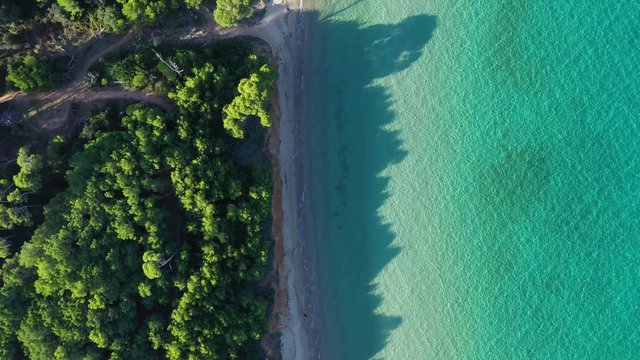 Crystal clear blue water Porquerolles white sand beach France Hy&egrave;res pine trees aerial