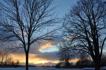 Foto auf Leinwand Winter Tree Scene with Awesome Clouds © John Alphonse