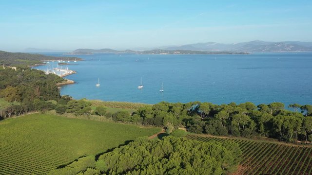 Porquerolles harbor and vineyards aerial back traveling France
