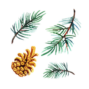 Hand drawn  watercolor illustration set of pine branch with cone isolated on white background. Holiday design for greeting cards, calendars, posters, prints, invitations.
