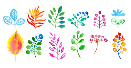 Watercolor leaves set isolated on white background. Hand painted floral illustration.