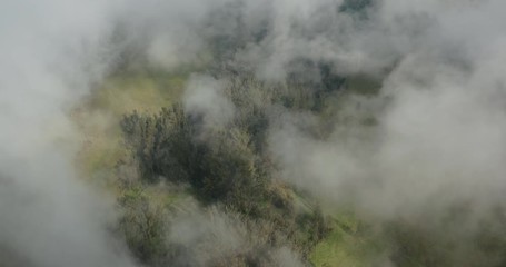 Aerial view looking down through clouds flying over a misty green forest with open green space