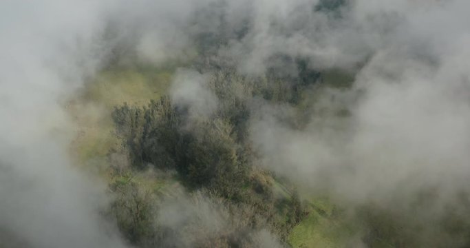 Aerial view looking down through clouds flying over a misty green forest with open green space