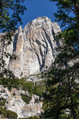 Granite formations and pine trees in Yosemite