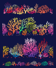 Set of color Corals borders seamless patterns © Viktoriia Protsak