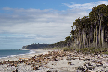 View of Bruce beach, West coast of New Zealand