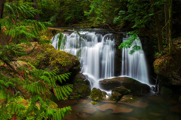 Whatcom Falls, Bellingham, Washington. A lovely little park on the outskirts of downtown Bellingham, Washington. The falls are on Whatcom Creek, which leads from Lake Whatcom to Bellingham Bay.